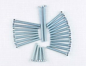 Engine bolt pack - 24 pcs (CZ 125, 175) / 