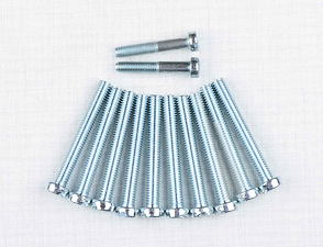 Engine bolt pack - 12 pcs (Jawa 50 Babetta 210) / 