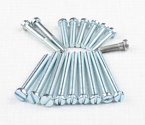 Engine bolt pack - 18 pcs (Jawa 50 Pionyr 550 555) / 