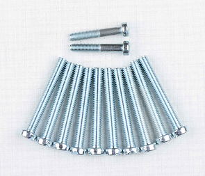 Engine bolt pack - 12 pcs (Jawa 50 Babetta 210) / 