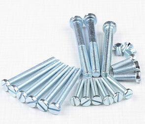 Engine bolt pack - 21 pcs (Jawa 50 Pionyr 20 21 23) / 