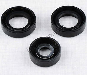 Sealing ring of engine - set, 3pcs (CZ 125 150 C) / 