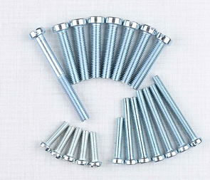 Engine bolt pack - 20 pcs (Jawa 350 638 639 640) / 