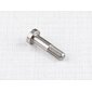 Bolt of handlebar levers M5x20mm - lentil head (Jawa CZ 125 175 250 350) / 
