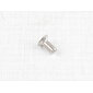 Bolt of tail lamp cover - M4x10mm (Jawa CZ 125 175 250 350) / 
