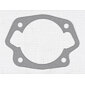 Gasket of cylinder 1.0mm (CZ 250 455 475) / 
