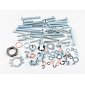 Engine bolt & nut pack (Jawa 50 Pionyr 20 21 23) / 