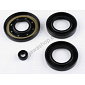 Sealing ring of engine - set, 4pcs (Jawa 350 638 639 640) / 