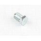 Locking bolt of cam plate (CZ 125 175 250) / 