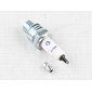 Spark plug - Brisk Super N17C (Jawa CZ 125 250) / 